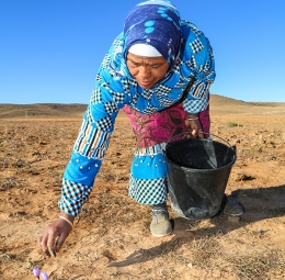 صور تذكارية من تاليوين