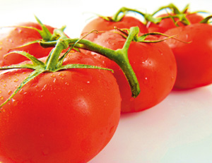 La-tomate